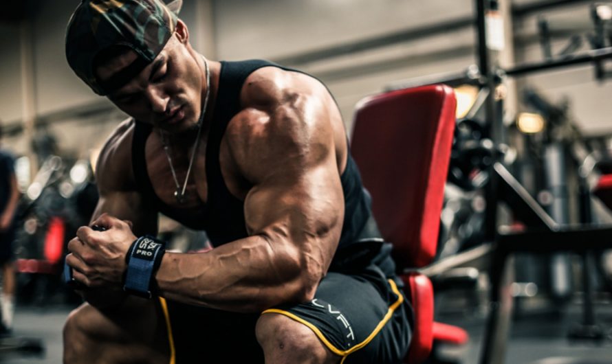 10 SUGGERIMENTI PER AUMENTARE LA FORZA (BODYBUILDING)